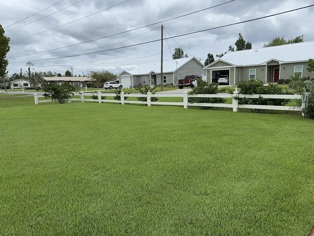 Well-maintained residential lawn in Panama City