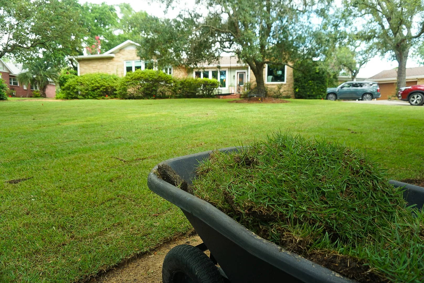 A wheelbarrow filled with grass clippings sits in a well-maintained lawn in Panama City, FL, showcasing quality lawn care services available locally.